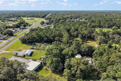 Commercial property in Ocala, Florida 120.77 sq.m. № 1755149 - photo 8