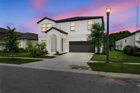 House in Fish Hawk, Florida 4 bedrooms, 260.5 sq.m. № 2196073