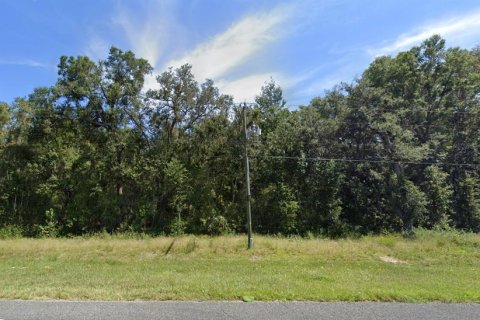 Land in Chiefland, Florida № 1555291 - photo 1