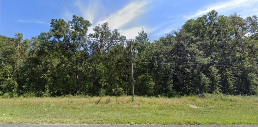 Land in Chiefland, Florida № 1555291