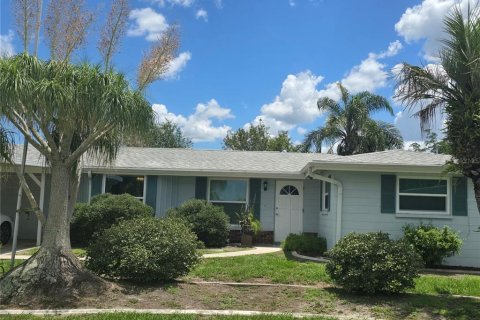 House in Punta Gorda, Florida 3 bedrooms, 146.23 sq.m. № 1792276 - photo 1
