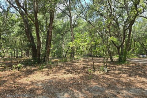Terrain à vendre à Weirsdale, Floride № 2221491 - photo 6