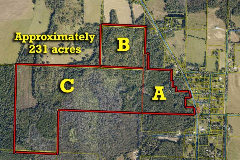 Land in De Funiak Springs, Florida № 558311 - photo 1