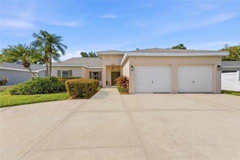 House in Tampa, Florida 3 bedrooms, 270.35 sq.m. № 2200192