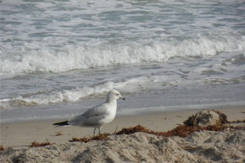 Condominio en alquiler en Hallandale Beach, Florida, 1 dormitorio, 46.45 m2 № 2010809 - foto 12