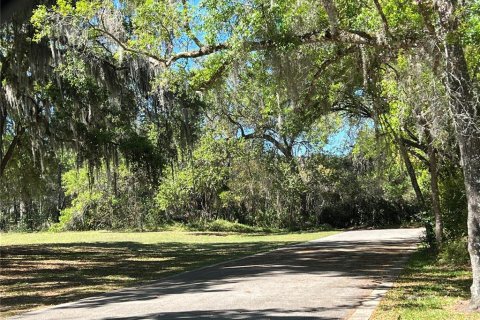 Terreno en venta en DeLand, Florida № 1581961 - foto 7