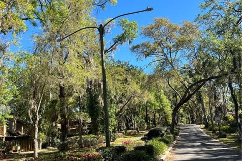 Terreno en venta en DeLand, Florida № 1581961 - foto 27