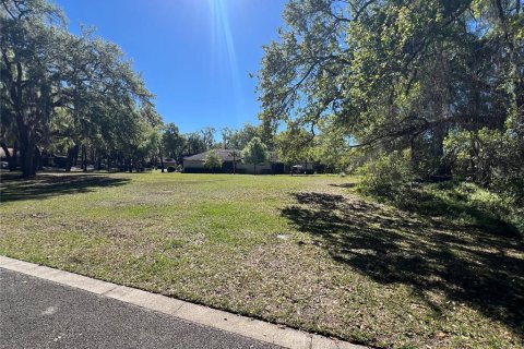 Terreno en venta en DeLand, Florida № 1581961 - foto 6