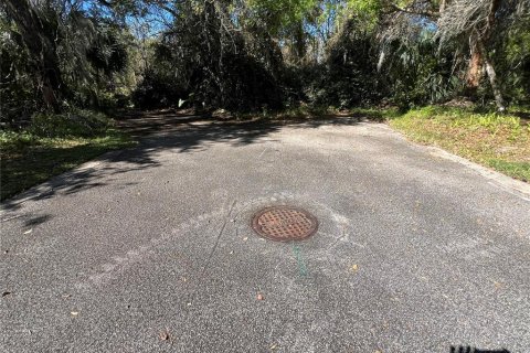 Terreno en venta en DeLand, Florida № 1581961 - foto 10