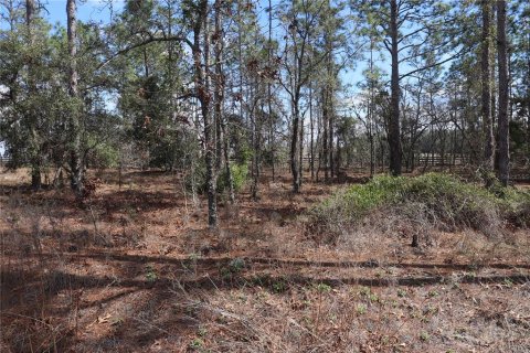 Land in Dunnellon, Florida № 2161990