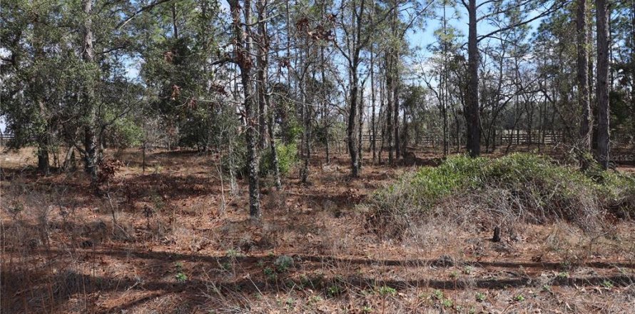 Land in Dunnellon, Florida № 2161990