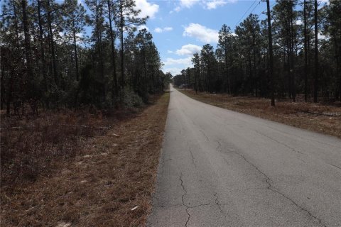 Land in Dunnellon, Florida № 2161990 - photo 5