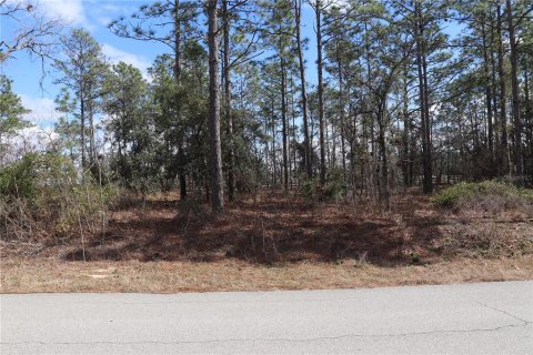 Land in Dunnellon, Florida № 2161990 - photo 2