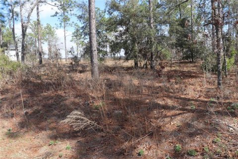 Land in Dunnellon, Florida № 2161990 - photo 3