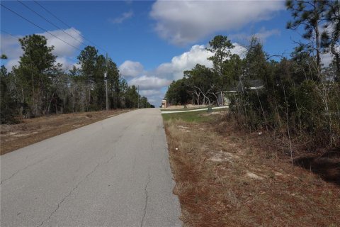 Land in Dunnellon, Florida № 2161990 - photo 4