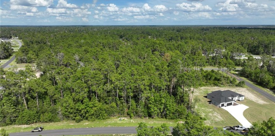 Terreno en Ocala, Florida № 1900278