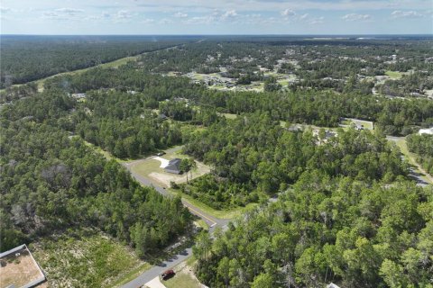 Terrain à vendre à Ocala, Floride № 1900278 - photo 8