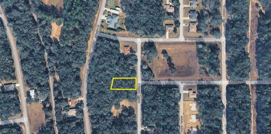 Land in Citrus Springs, Florida № 2163660