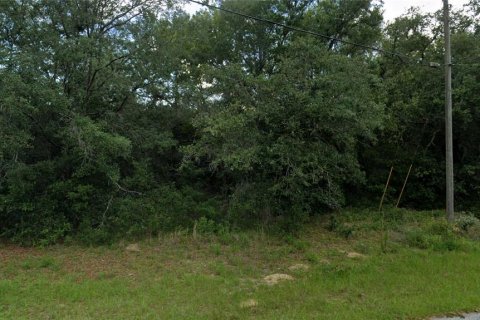 Land in Citrus Springs, Florida № 2163660 - photo 2