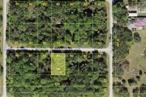 Land in Port Charlotte, Florida № 2166232 - photo 3