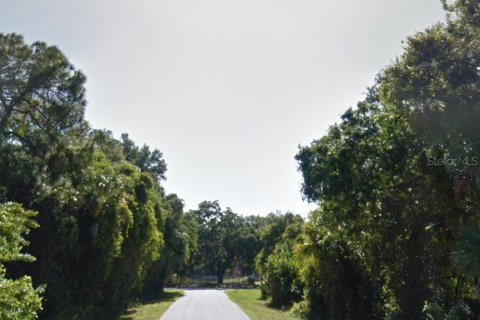 Land in Port Charlotte, Florida № 2166232