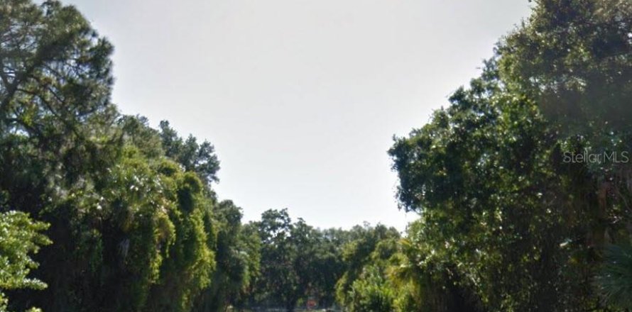 Land in Port Charlotte, Florida № 2166232