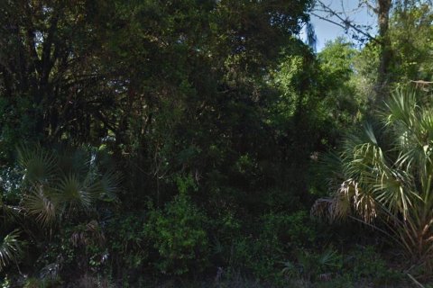 Land in Port Charlotte, Florida № 2166232 - photo 2