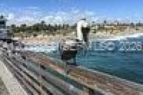 Apartment in Lake Worth, Florida 1 bedroom, 55.74 sq.m. № 2069345 - photo 12