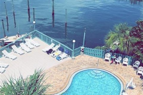 Hotel in Clearwater, Florida 1923.08 sq.m. № 1034632 - photo 10