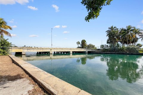 Condominio en alquiler en Miami, Florida, 1 dormitorio, 65.03 m2 № 2023403 - foto 23