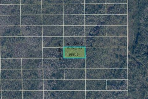 Land in Orlando, Florida № 2217900 - photo 3