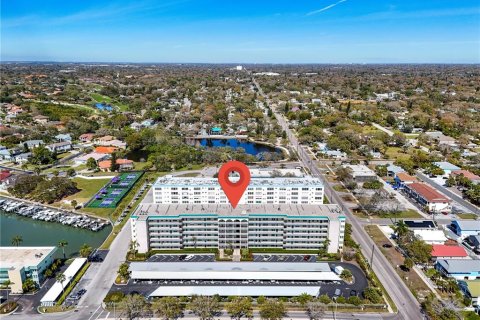 Condo in Gulfport, Florida, 2 bedrooms  № 1028114 - photo 28