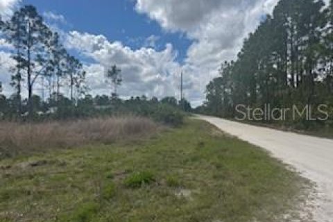Terreno en venta en Punta Gorda, Florida № 2201172 - foto 4