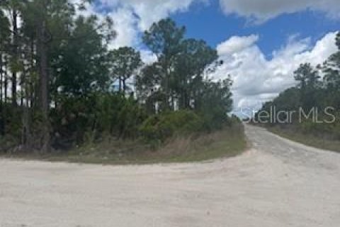 Terreno en venta en Punta Gorda, Florida № 2201172 - foto 2