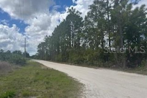 Terreno en venta en Punta Gorda, Florida № 2201172 - foto 5