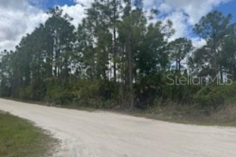 Terreno en venta en Punta Gorda, Florida № 2201172 - foto 3