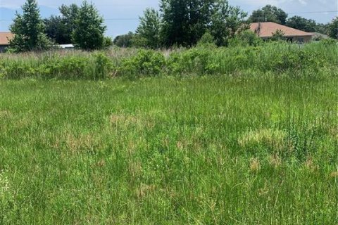 Terreno en venta en Ocala, Florida № 2226804 - foto 5
