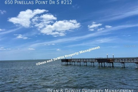 Copropriété à louer à Saint Petersburg, Floride: 1 chambre, 60.39 m2 № 2296972 - photo 8