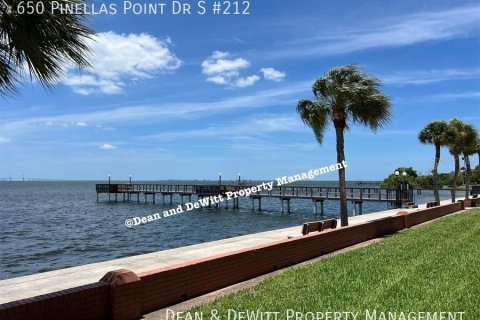 Copropriété à louer à Saint Petersburg, Floride: 1 chambre, 60.39 m2 № 2296972 - photo 5