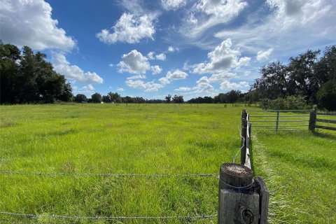 Land in Webster, Florida № 1916365 - photo 16