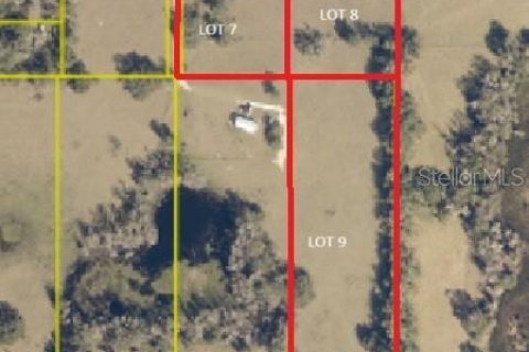 Land in Webster, Florida № 1916365 - photo 2