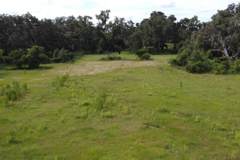 Land in Webster, Florida № 1916365 - photo 12