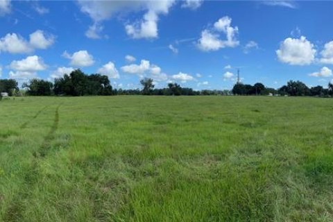 Land in Webster, Florida № 1916365 - photo 17