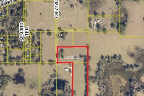 Land in Webster, Florida № 1916365 - photo 3