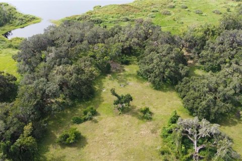 Land in Webster, Florida № 1916365 - photo 8