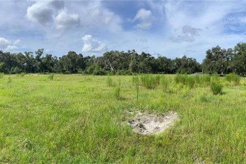 Land in Webster, Florida № 1916365 - photo 19