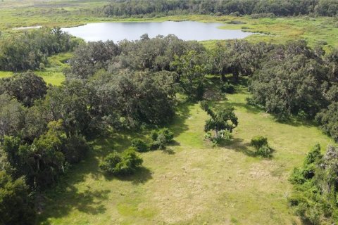 Land in Webster, Florida № 1916365 - photo 4