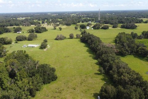 Land in Webster, Florida № 1916365 - photo 9