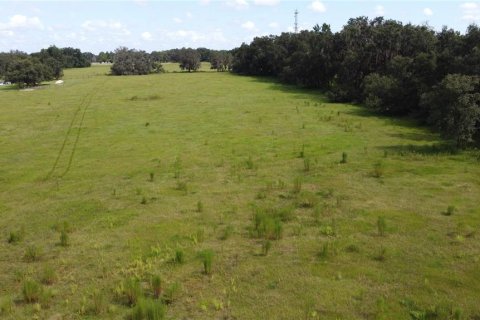 Land in Webster, Florida № 1916365 - photo 11