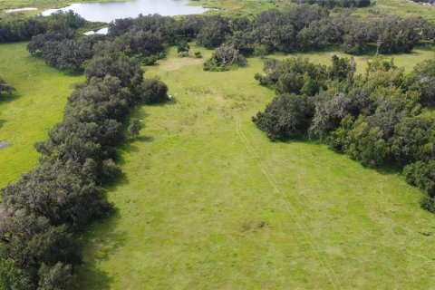 Land in Webster, Florida № 1916365 - photo 5